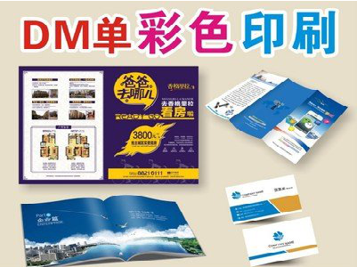 叙永单页印刷,色彩搭配简单。